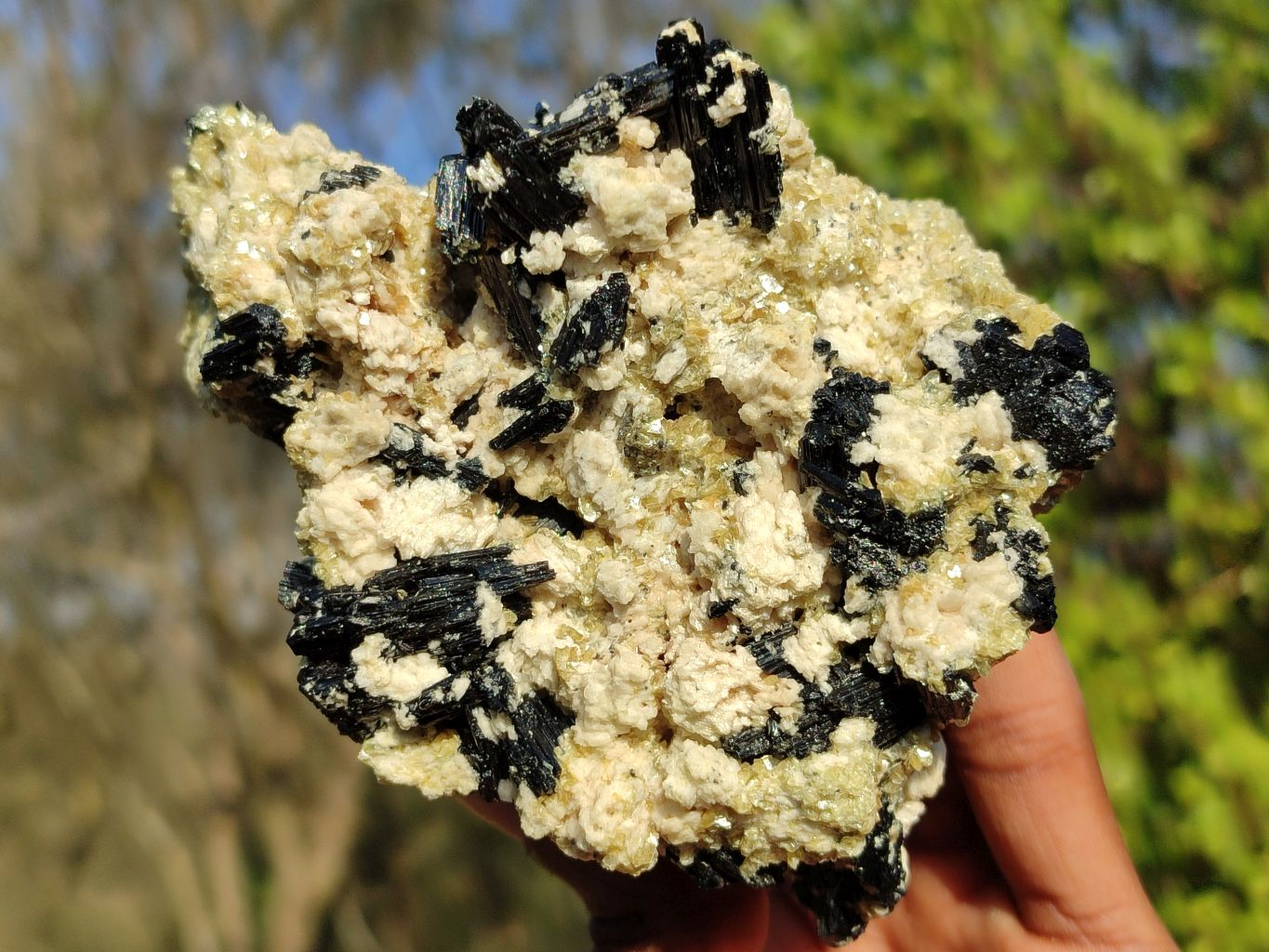 Natural Schorl Black Tourmaline Specimens  x 3 From Erongo, Namibia - Toprock Gemstones and Minerals 