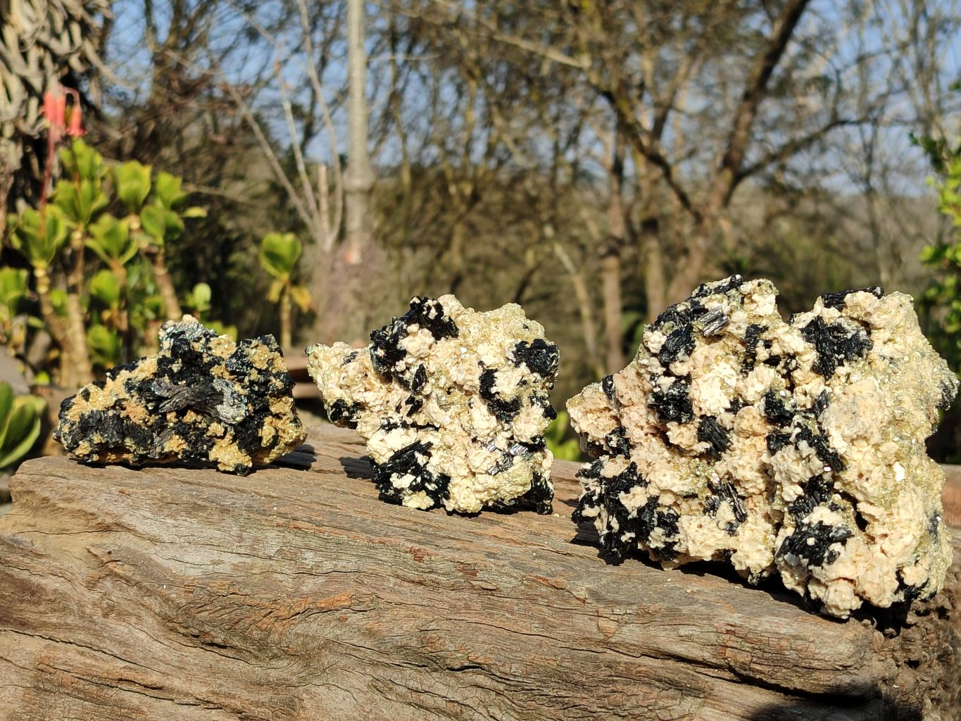 Natural Schorl Black Tourmaline Specimens  x 3 From Erongo, Namibia - Toprock Gemstones and Minerals 
