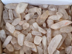 Natural Single Quartz Crystals  x 6 Kg Lot  From Madagascar - Toprock Gemstones and Minerals 
