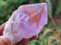 Natural Single Jacaranda Amethyst Crystals x 12 From Zambia - Toprock Gemstones and Minerals 