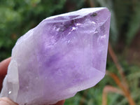 Natural Single Jacaranda Amethyst Crystals x 12 From Zambia - Toprock Gemstones and Minerals 
