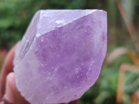 Natural Single Jacaranda Amethyst Crystals x 12 From Zambia - Toprock Gemstones and Minerals 