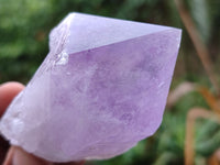 Natural Single Jacaranda Amethyst Crystals x 12 From Zambia - Toprock Gemstones and Minerals 