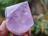 Natural Single Jacaranda Amethyst Crystals x 12 From Zambia - Toprock Gemstones and Minerals 