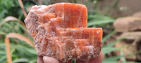 Natural New Sunset Orange Calcite Specimens  x 24 From Spitzkop, Namibia - Toprock Gemstones and Minerals 