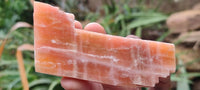 Natural New Sunset Orange Calcite Specimens  x 24 From Spitzkop, Namibia - Toprock Gemstones and Minerals 
