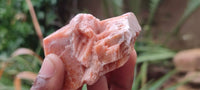 Natural New Sunset Orange Calcite Specimens  x 24 From Spitzkop, Namibia - Toprock Gemstones and Minerals 