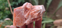 Natural New Sunset Orange Calcite Specimens  x 24 From Spitzkop, Namibia - Toprock Gemstones and Minerals 