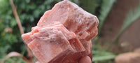 Natural New Sunset Orange Calcite Specimens  x 24 From Spitzkop, Namibia - Toprock Gemstones and Minerals 