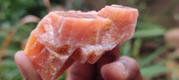 Natural New Sunset Orange Calcite Specimens  x 24 From Spitzkop, Namibia - Toprock Gemstones and Minerals 