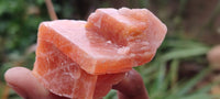 Natural New Sunset Orange Calcite Specimens  x 24 From Spitzkop, Namibia - Toprock Gemstones and Minerals 