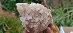 Natural Highly Selected Candle Quartz Crystals  x 6 From Madagascar - Toprock Gemstones and Minerals 