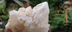 Natural Highly Selected Candle Quartz Crystals  x 6 From Madagascar - Toprock Gemstones and Minerals 