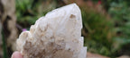 Natural Highly Selected Candle Quartz Crystals  x 6 From Madagascar - Toprock Gemstones and Minerals 