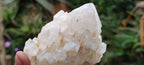 Natural Highly Selected Candle Quartz Crystals  x 6 From Madagascar - Toprock Gemstones and Minerals 