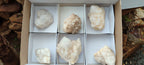 Natural Highly Selected Candle Quartz Crystals  x 6 From Madagascar - Toprock Gemstones and Minerals 