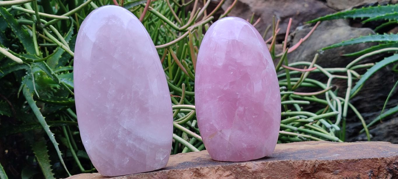 Polished Gemmy Pink Rose Quartz Standing Free Forms x 2 From Madagascar - Toprock Gemstones and Minerals 