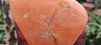 Polished Orange Twist Calcite Standing Free Form x 1 From Maevantanana, Madagascar - Toprock Gemstones and Minerals 