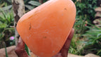 Polished Orange Twist Calcite Standing Free Form x 1 From Maevantanana, Madagascar - Toprock Gemstones and Minerals 