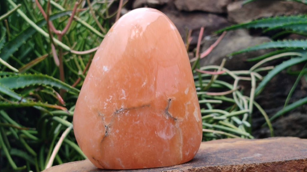 Polished Orange Twist Calcite Standing Free Form x 1 From Maevantanana, Madagascar - Toprock Gemstones and Minerals 