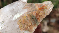 Natural Large Mixed Brandberg Quartz Crystals x 6 From Brandberg, Namibia - Toprock Gemstones and Minerals 