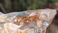 Natural Large Mixed Brandberg Quartz Crystals x 6 From Brandberg, Namibia - Toprock Gemstones and Minerals 