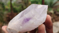 Natural Large Mixed Brandberg Quartz Crystals x 6 From Brandberg, Namibia - Toprock Gemstones and Minerals 