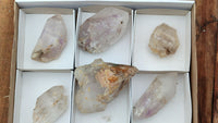 Natural Large Mixed Brandberg Quartz Crystals x 6 From Brandberg, Namibia - Toprock Gemstones and Minerals 