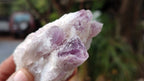 Natural Sugar Amethyst Clusters  x 12 From Zambia - Toprock Gemstones and Minerals 