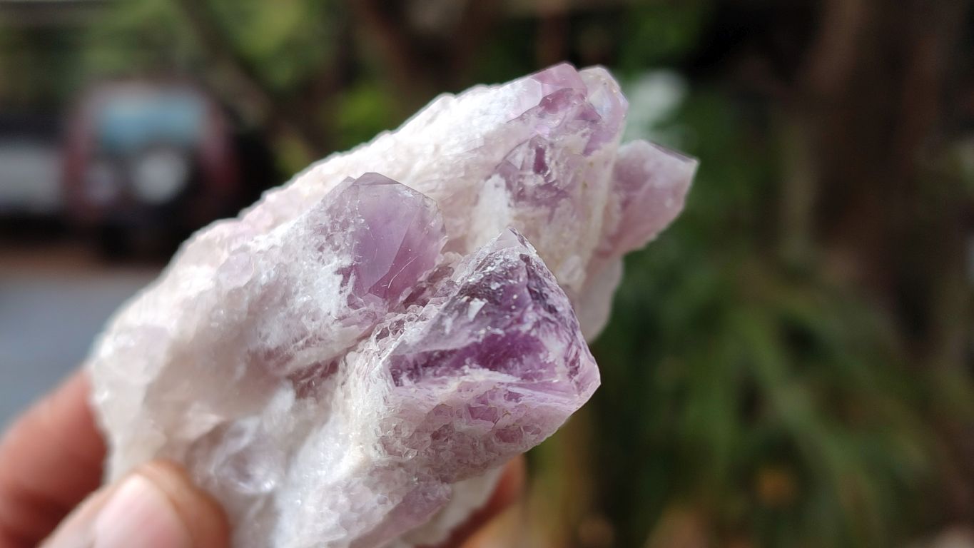 Natural Sugar Amethyst Clusters  x 12 From Zambia - Toprock Gemstones and Minerals 
