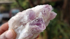 Natural Sugar Amethyst Clusters  x 12 From Zambia - Toprock Gemstones and Minerals 
