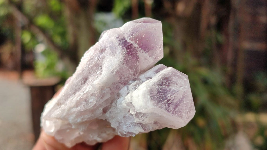 Natural Sugar Amethyst Clusters  x 12 From Zambia - Toprock Gemstones and Minerals 