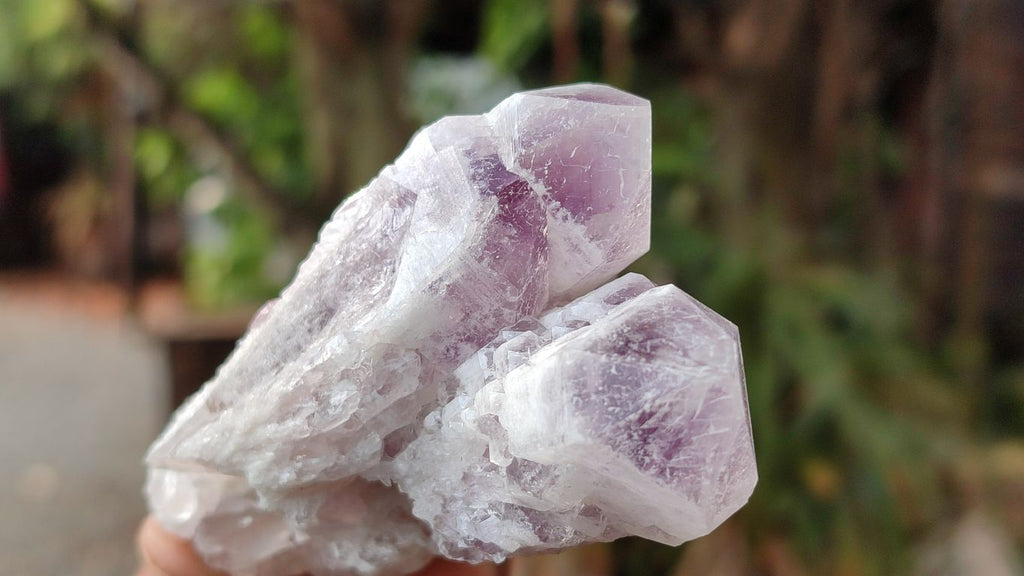 Natural Sugar Amethyst Clusters  x 12 From Zambia - Toprock Gemstones and Minerals 