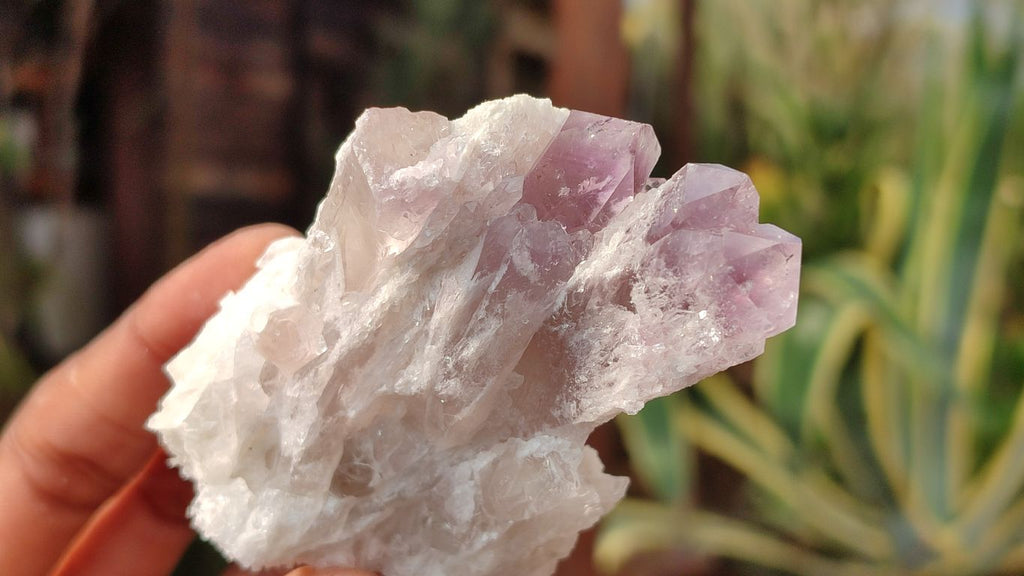 Natural Sugar Amethyst Clusters  x 12 From Zambia - Toprock Gemstones and Minerals 