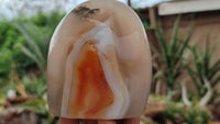 Polished Lovely Selection Of Agate Standing Free Forms  x 3 From Madagascar - Toprock Gemstones and Minerals 