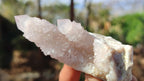 Natural Spirit Amethyst Quartz Crystals x 12 From Boekenhouthoek, South Africa - Toprock Gemstones and Minerals 