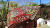 Polished Dragon Bloodstone Points  x 2 From Southern Africa - Toprock Gemstones and Minerals 