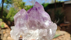 Natural Jacaranda Amethyst Clusters x 2 From Zambia - Toprock Gemstones and Minerals 