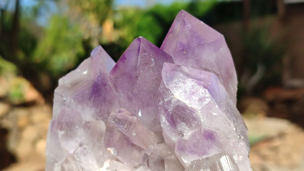 Natural Jacaranda Amethyst Clusters x 2 From Zambia - Toprock Gemstones and Minerals 