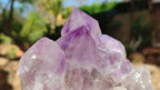 Natural Jacaranda Amethyst Clusters x 2 From Zambia - Toprock Gemstones and Minerals 