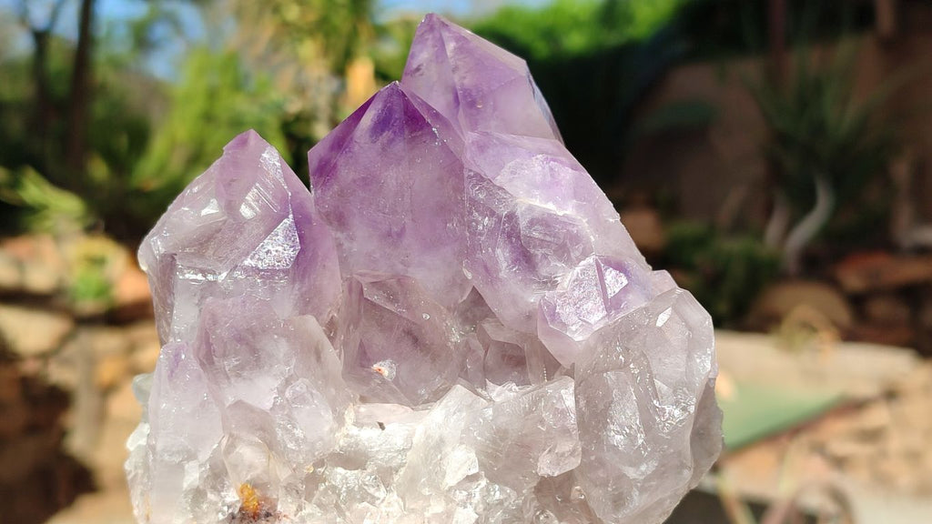 Natural Jacaranda Amethyst Clusters x 2 From Zambia - Toprock Gemstones and Minerals 