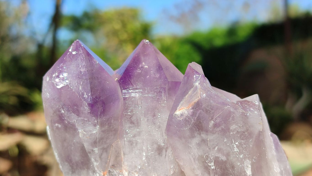 Natural Jacaranda Amethyst Clusters x 2 From Zambia - Toprock Gemstones and Minerals 