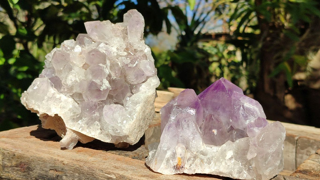 Natural Jacaranda Amethyst Clusters x 2 From Zambia - Toprock Gemstones and Minerals 