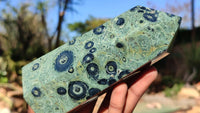 Polished Stromatolite Jasper / Nebula Stone Points x 2 From Katsepy, Madagascar - Toprock Gemstones and Minerals 