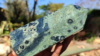 Polished Stromatolite Jasper / Nebula Stone Points x 2 From Katsepy, Madagascar - Toprock Gemstones and Minerals 