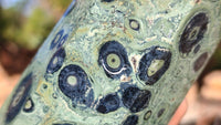 Polished Stromatolite Jasper / Nebula Stone Points x 2 From Katsepy, Madagascar - Toprock Gemstones and Minerals 