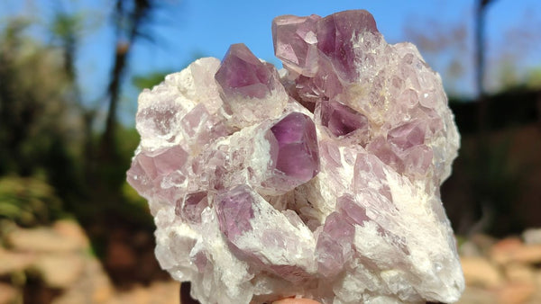 Natural Sugar Amethyst Clusters  x 4 From Solwezi, Zambia - Toprock Gemstones and Minerals 