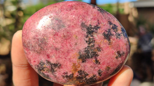 Polished Red Rhodonite Free Forms x 6 From Zimbabwe - Toprock Gemstones and Minerals 