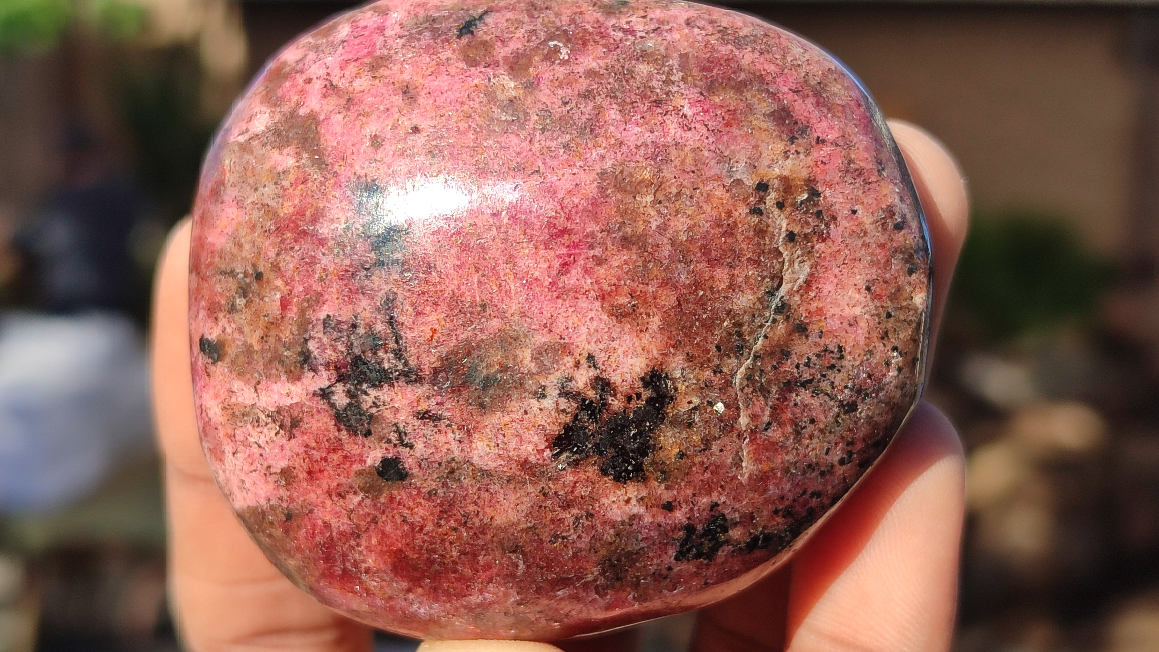 Polished Red Rhodonite Free Forms x 6 From Zimbabwe - Toprock Gemstones and Minerals 