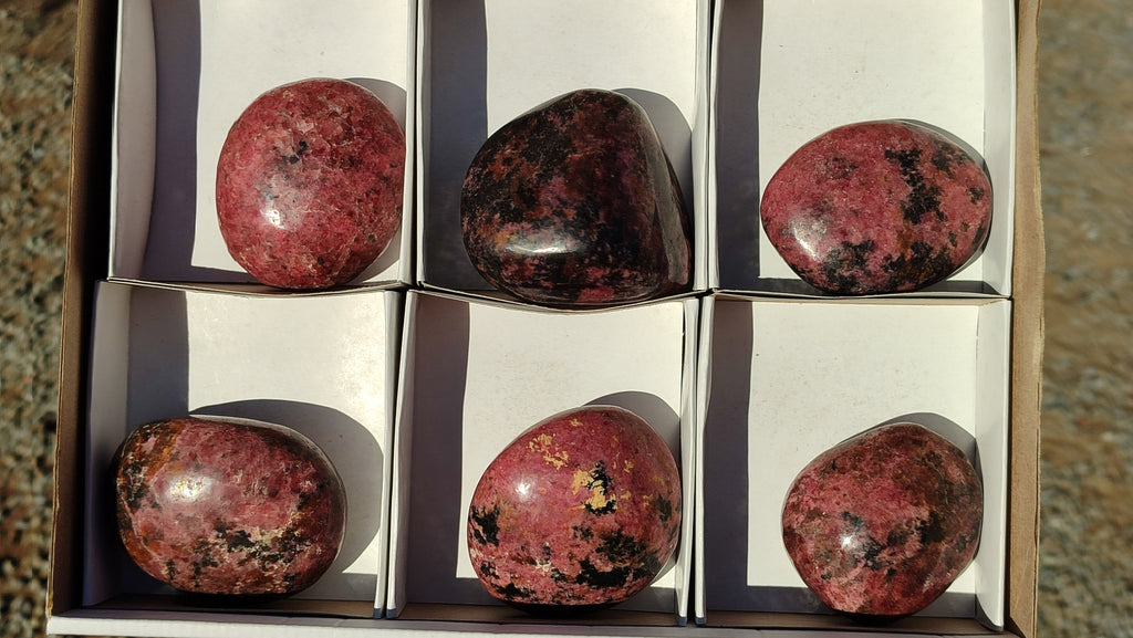 Polished Red Rhodonite Free Forms x 6 From Zimbabwe - Toprock Gemstones and Minerals 